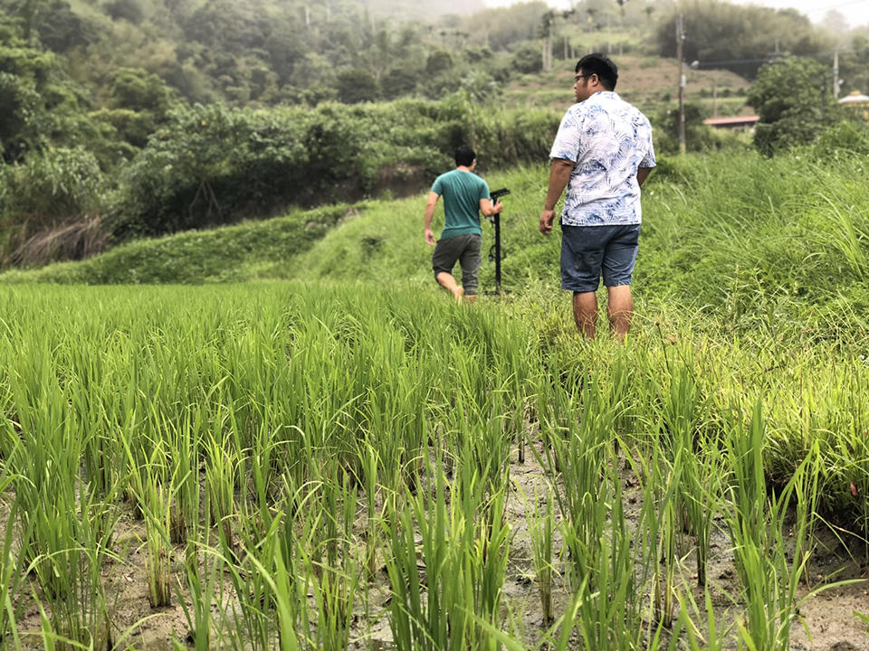 盧安邦與團隊走進富里稻田裝設環境數據監測設備。圖片來源：盧安邦授權提供。